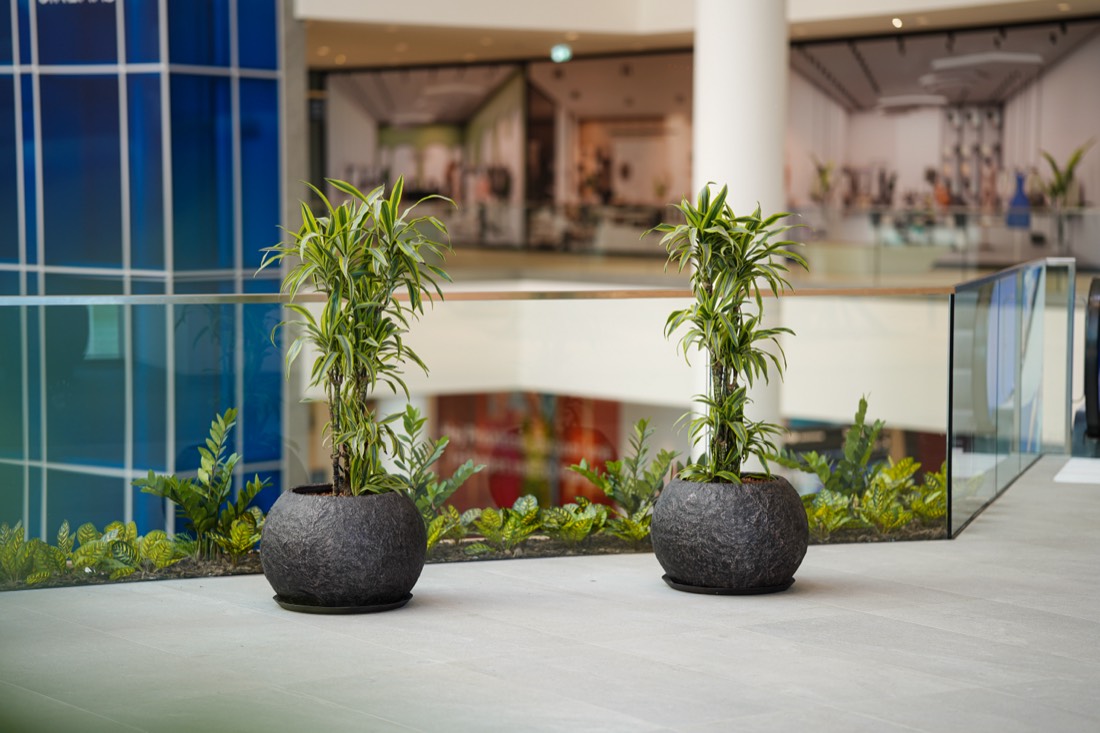 Two structured planters against blue glass, Prishtina Mall